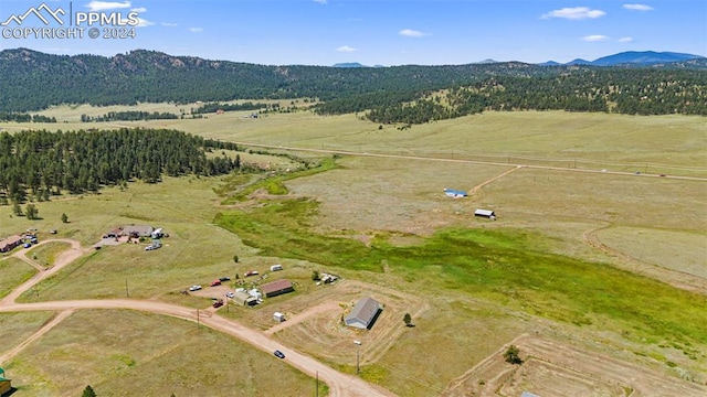 birds eye view of property featuring a rural view and a mountain view