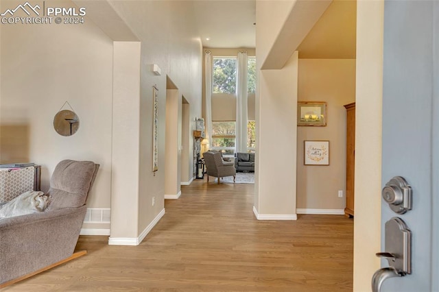 foyer with light hardwood / wood-style flooring