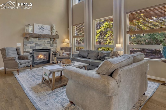 living room featuring a fireplace and light hardwood / wood-style flooring