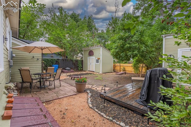 view of yard with a patio area and a storage shed