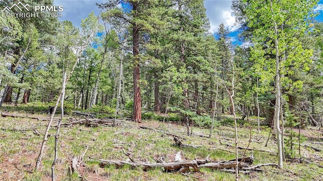 94 E Mariposa Cir, Cripple Creek CO, 80813 land for sale