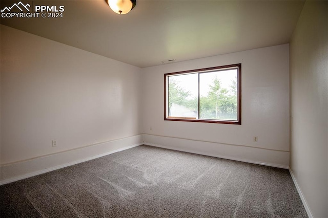 spare room featuring carpet floors