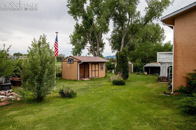 view of yard with a shed