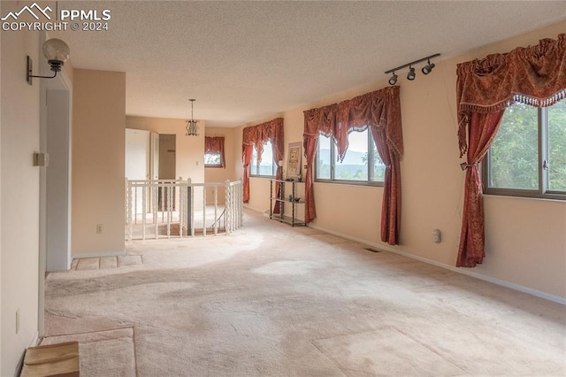 spare room with a textured ceiling, carpet floors, a healthy amount of sunlight, and rail lighting