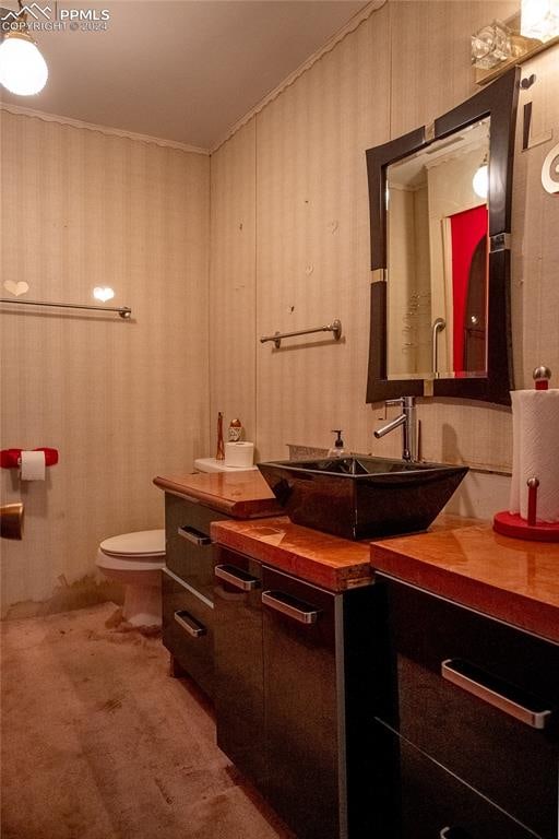 bathroom featuring toilet, vanity, and ornamental molding