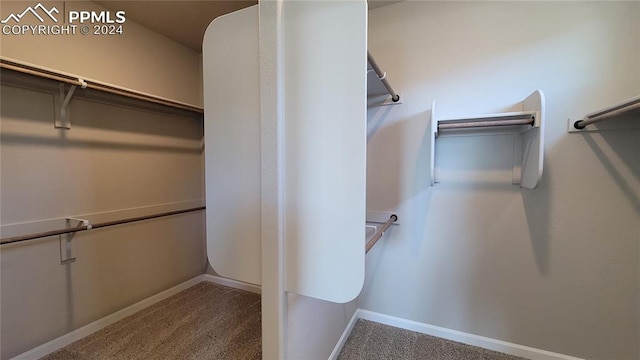 spacious closet with carpet flooring