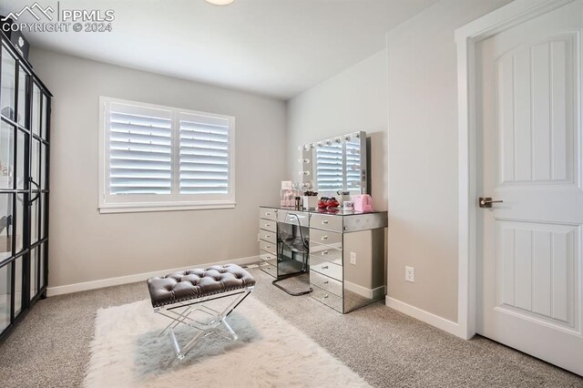 bedroom with multiple windows and light carpet