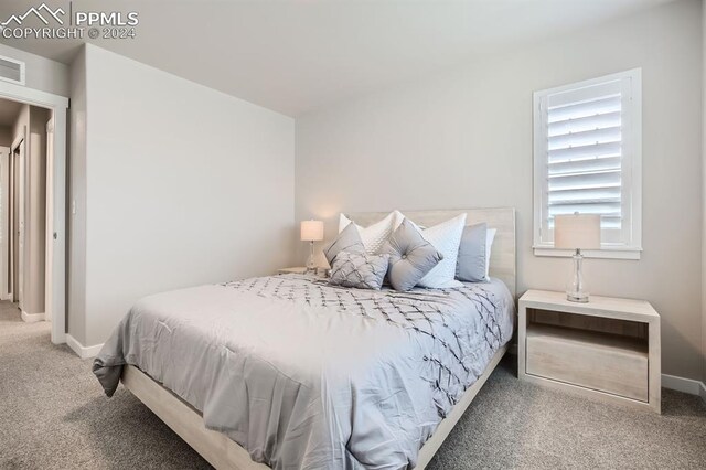 bedroom with carpet floors