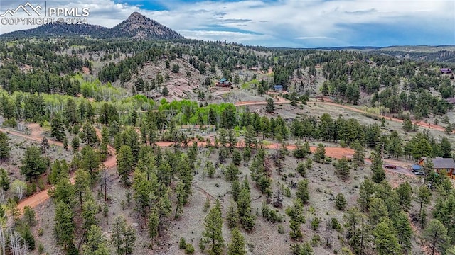 30 Shavano Way, Florissant CO, 80816 land for sale