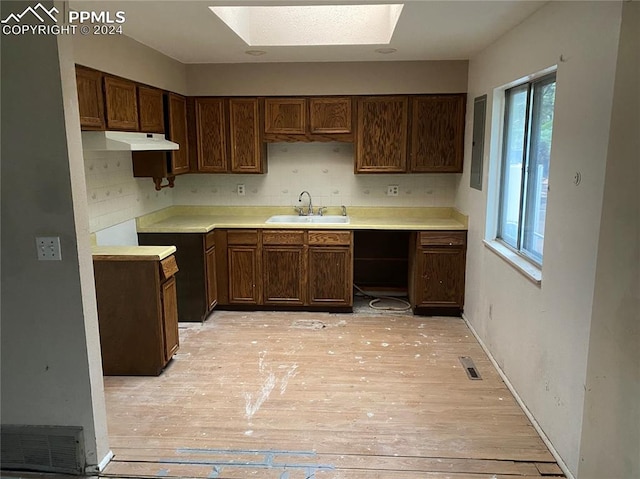 kitchen with sink, a skylight, dark brown cabinets, and light hardwood / wood-style floors