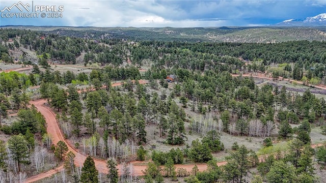 124 Shavano Cir, Florissant CO, 80816 land for sale