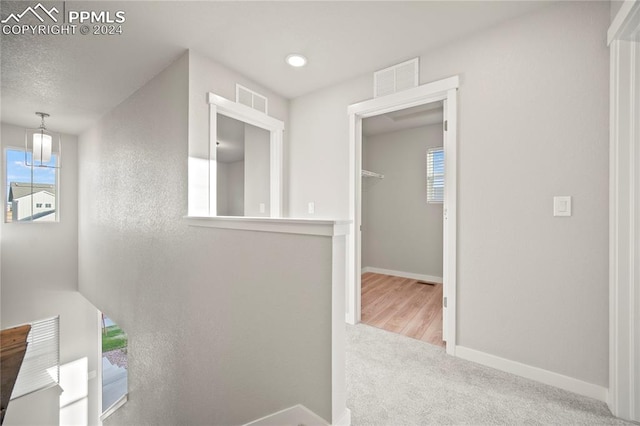 hallway featuring light colored carpet and a healthy amount of sunlight