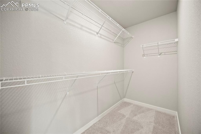 walk in closet featuring carpet flooring