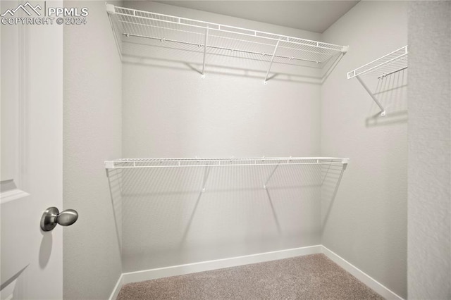 walk in closet featuring carpet flooring