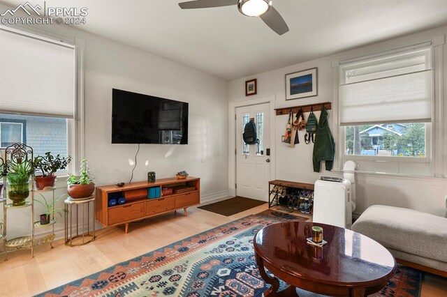 living room featuring light hardwood / wood-style floors and ceiling fan