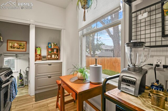 interior space featuring light hardwood / wood-style floors, wood counters, a wealth of natural light, and stainless steel gas stove