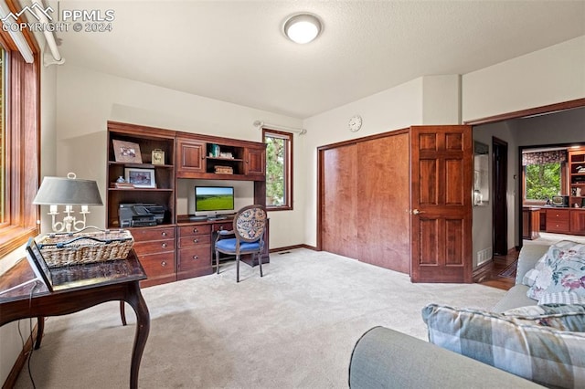 office featuring light colored carpet and plenty of natural light