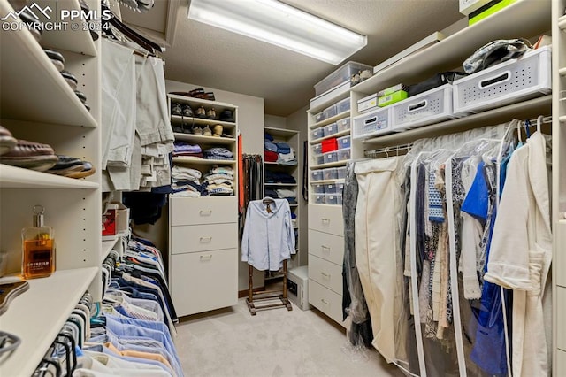 walk in closet with light carpet