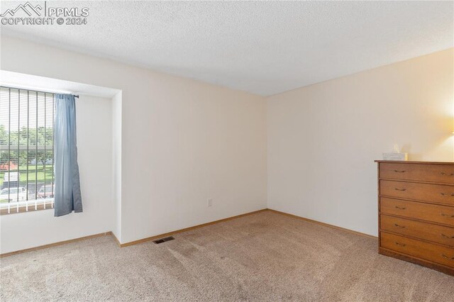 unfurnished room with light colored carpet and a textured ceiling