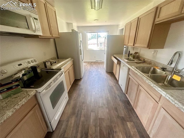 kitchen featuring sink, light brown cabinetry, dark wood-type flooring, and white appliances