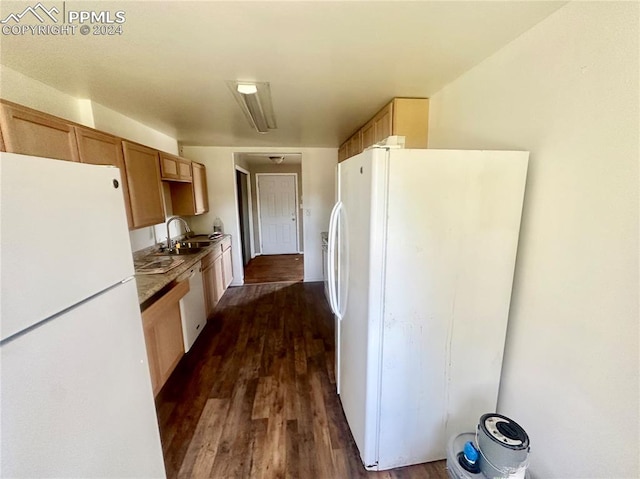 kitchen featuring sink, dark hardwood / wood-style flooring, and white refrigerator