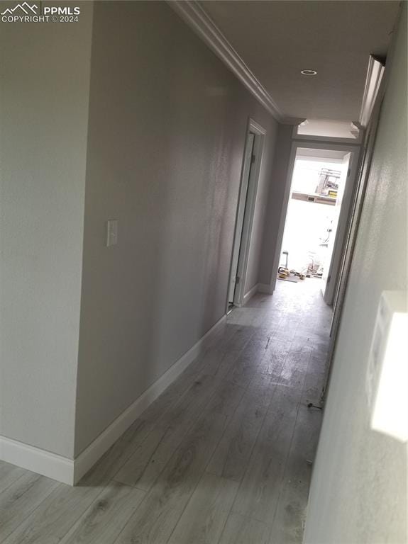 hall featuring crown molding and wood-type flooring