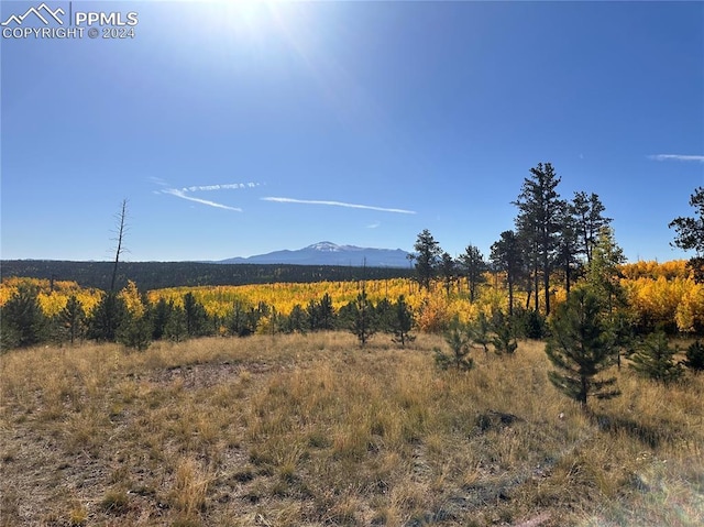 Listing photo 3 for UNIT4 County Road 51, Florissant CO 80816