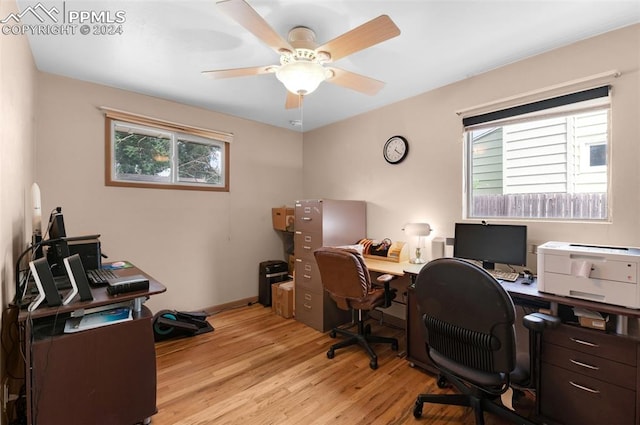 office space featuring ceiling fan and light hardwood / wood-style flooring