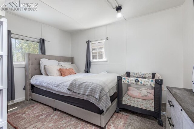 view of carpeted bedroom