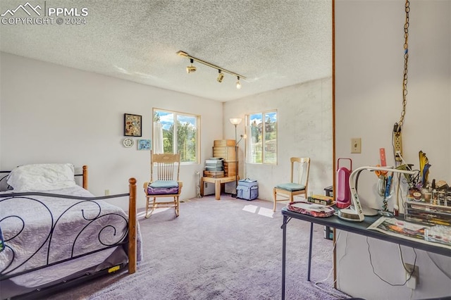 carpeted bedroom with a textured ceiling and rail lighting