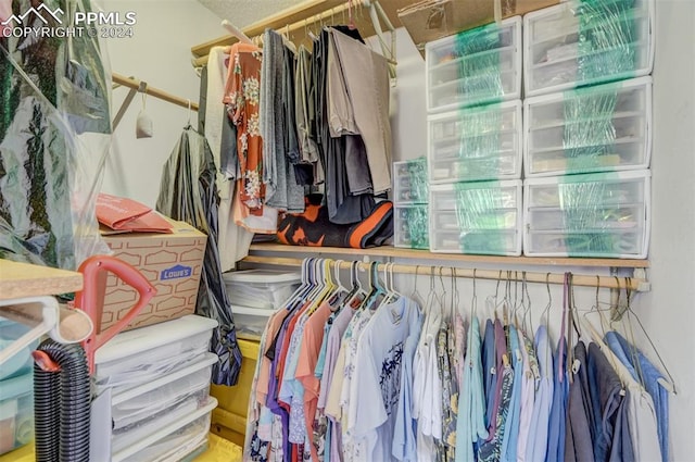 view of walk in closet