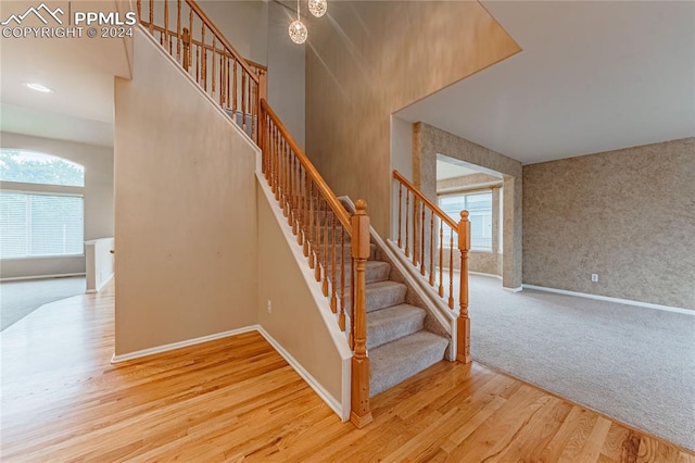 stairway with carpet floors