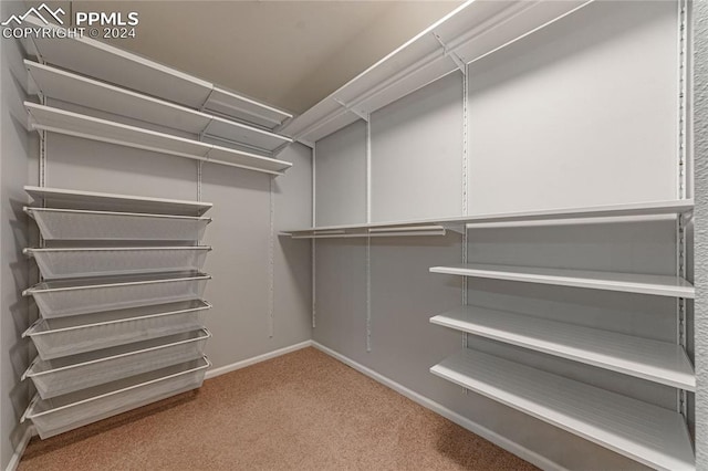 spacious closet featuring carpet