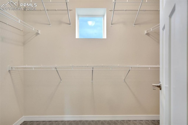 spacious closet featuring hardwood / wood-style flooring