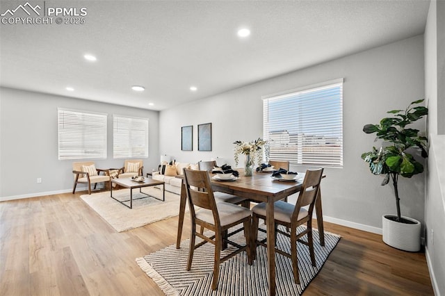 dining space with plenty of natural light and hardwood / wood-style floors