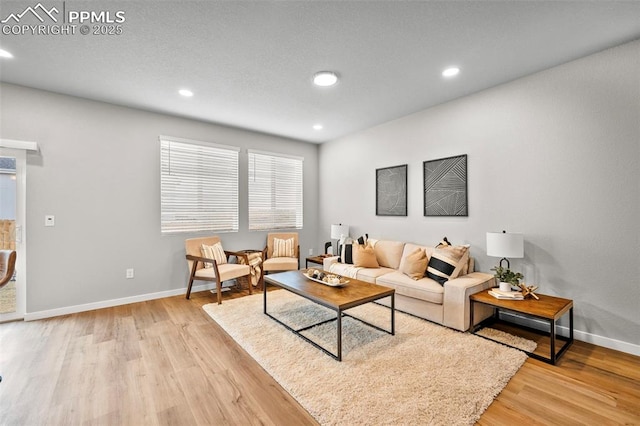 living room with light hardwood / wood-style floors