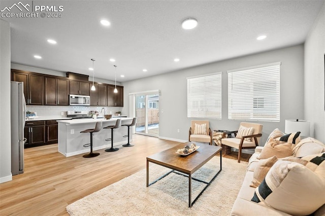 living room with light hardwood / wood-style flooring