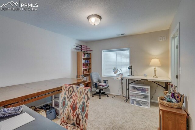 office space with carpet and a textured ceiling