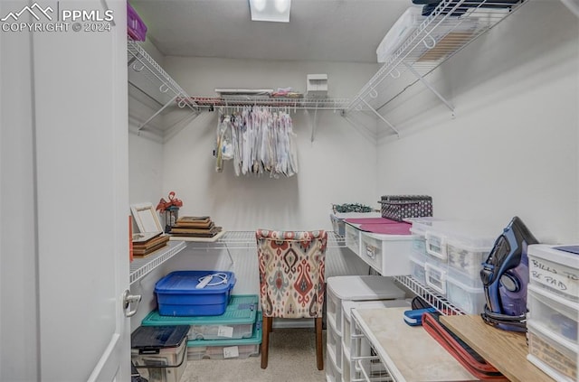 spacious closet with carpet flooring