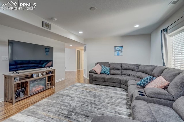 living room with light wood-type flooring