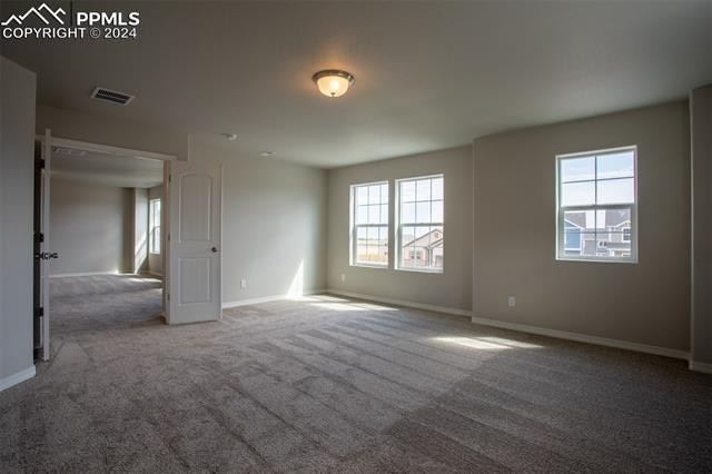 unfurnished room featuring carpet floors