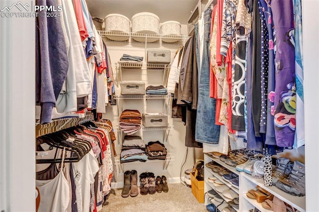 walk in closet with carpet flooring