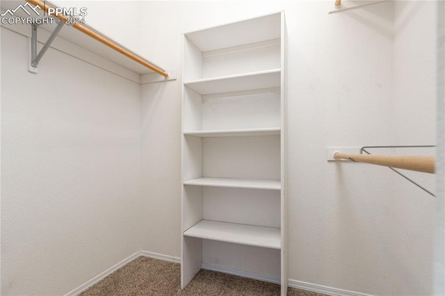 spacious closet with carpet