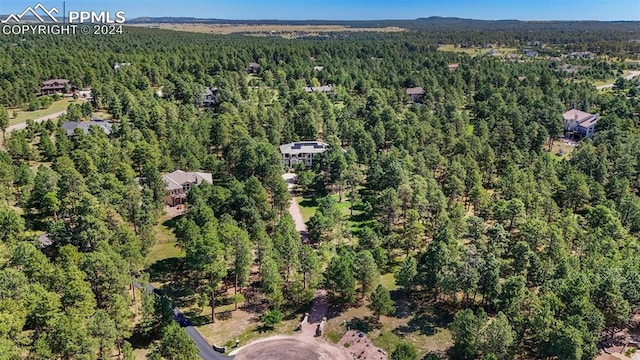 bird's eye view with a forest view