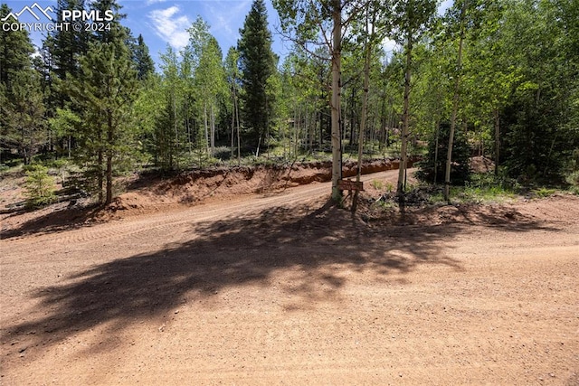 416 Willow Rd, Divide CO, 80814 land for sale