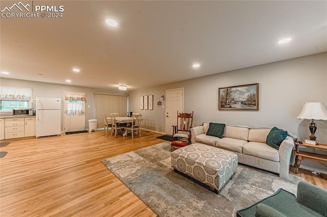 living room featuring light hardwood / wood-style floors