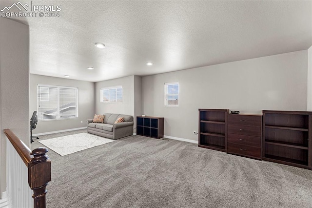 living area with a textured ceiling and carpet flooring