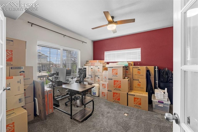 carpeted home office with ceiling fan