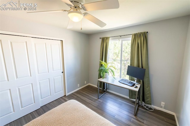 office featuring ceiling fan and dark wood-type flooring