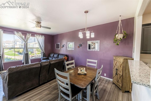 dining room featuring ceiling fan with notable chandelier and hardwood / wood-style flooring